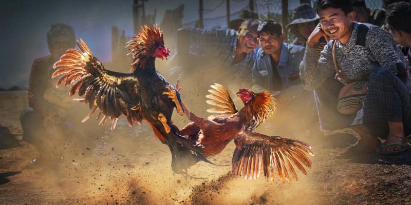 Sảnh SV388 sở hữu nhiều ưu điểm vượt trội