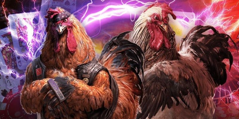 Các bước đăng ký tham gia cá cược đá gà rất đơn giản