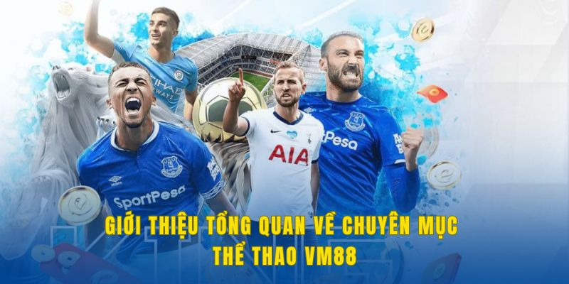 Giới thiệu tổng quan về chuyên mục thể thao VM88